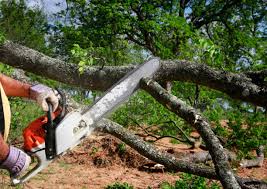 Best Lawn Maintenance Plans  in Ferron, UT