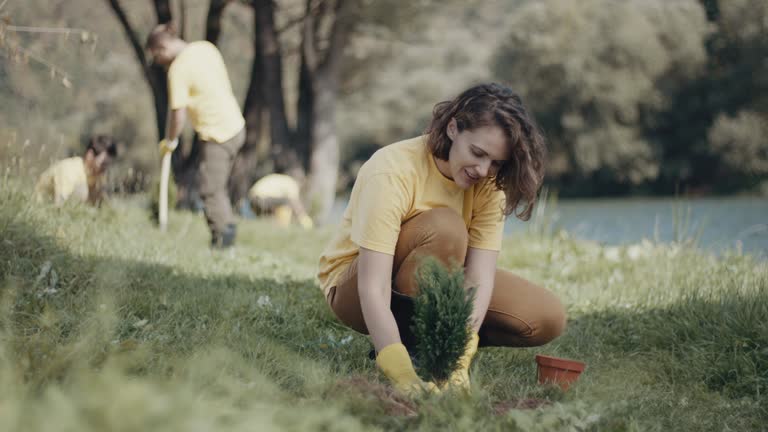Best Lawn Drainage Solutions  in Ferron, UT